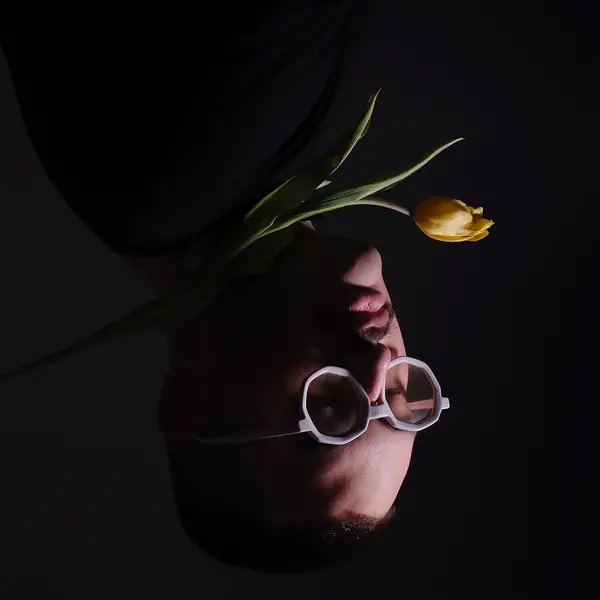 ALMA cover