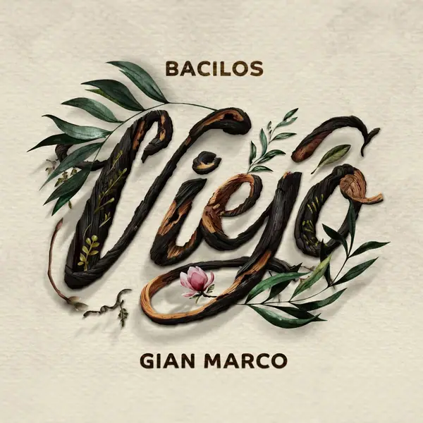 Viejo cover