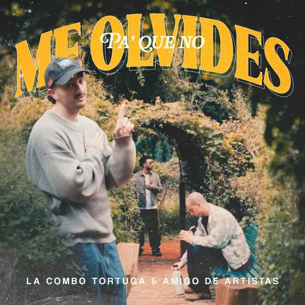 Pa' Que No Me Olvides cover